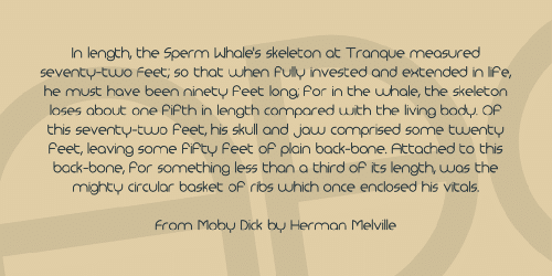 Monoglyceride Font 2