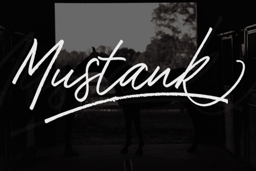 Mustank Handwritten Font 1