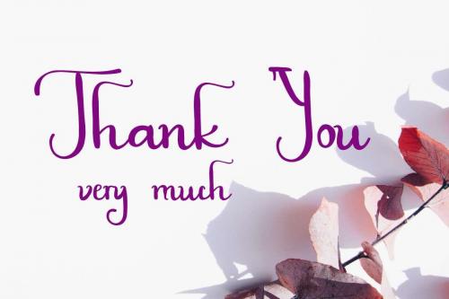 Plaza Avenue Handwriting Font 12