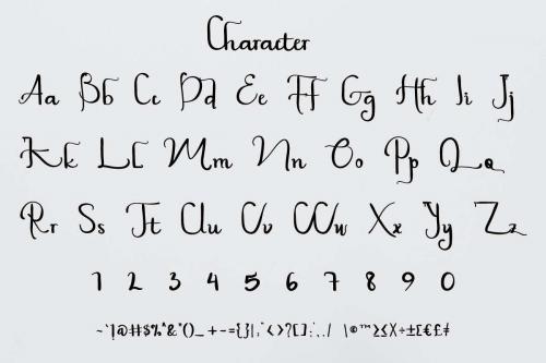 Plaza Avenue Handwriting Font 4