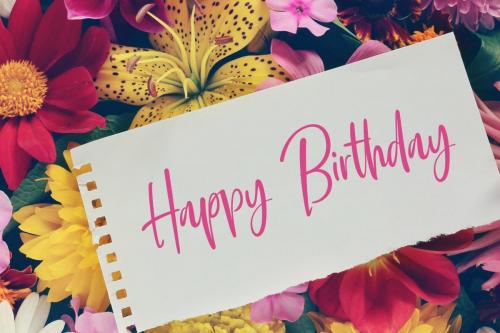 Smooth Dahlia Script Font 2