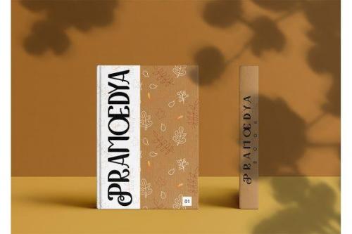 The Kingston 2 Font 5