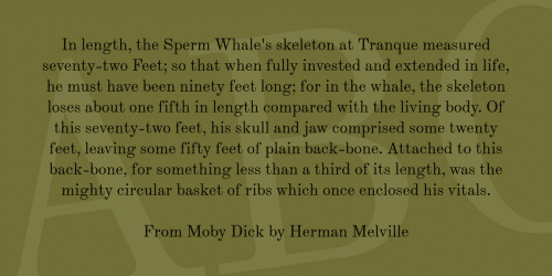 Theano Modern Font 3