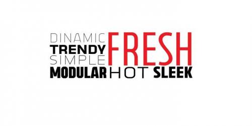 Vogie Sans Serif Font 10