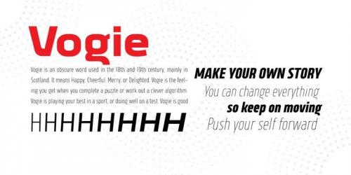 Vogie Sans Serif Font 5