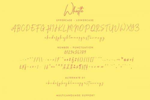 Whistle Signature Font 7