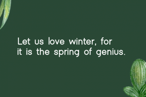 Winter Modern Typeface 2