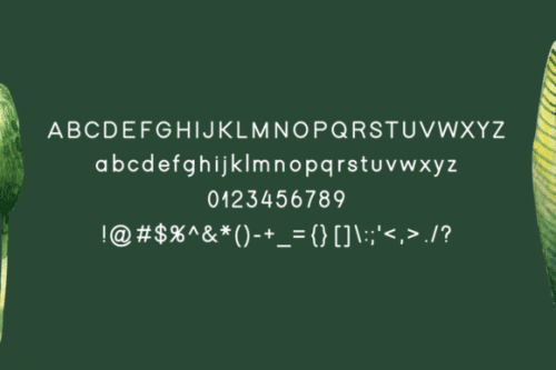 Winter Modern Typeface 4