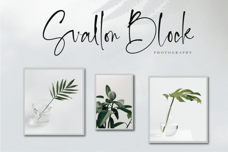 Brilliant Starlight Elegant Signature Font 6