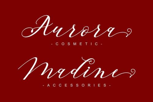 Beloved Script Font 5