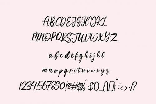 Bohemian  Script Logo Font 5