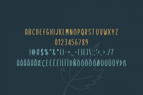 Bonrin Font 5