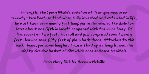 Eager Naturalist Font 3