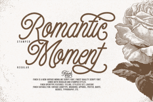 Finch Monoline Script Font 2