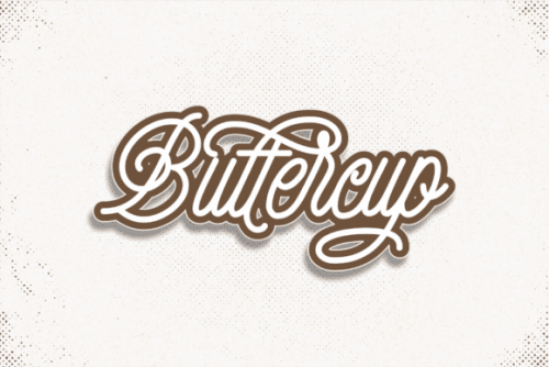 Finch Monoline Script Font 7