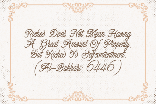 Finch Monoline Script Font 8