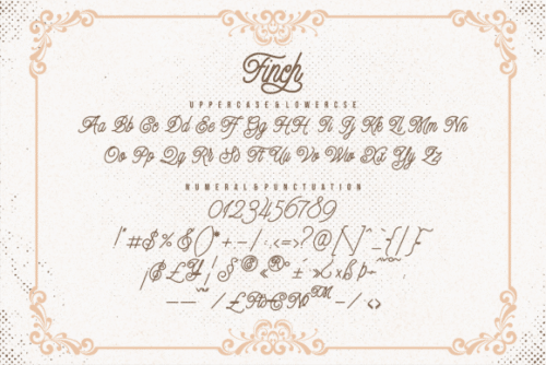 Finch Monoline Script Font 9
