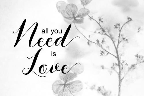 Monalisa Calligraphy Script Font 5