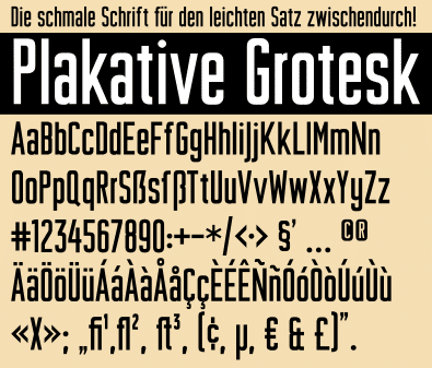 Plakative Grotesk Font 1