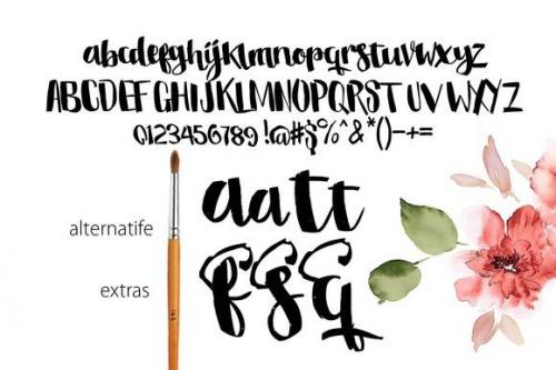 Stella Brush Font 4