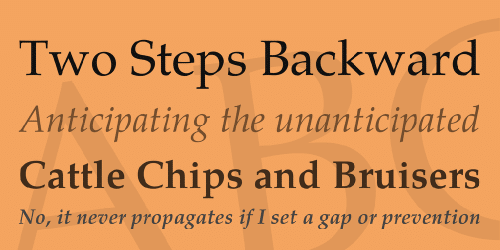 TeX Gyre Pagella Font Family 2