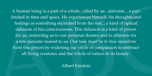 TeX Gyre Pagella Font Family 3