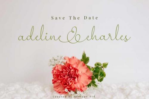Wedding-Ampersand-Font
