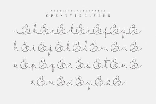 Wedding Ampersand Font 8