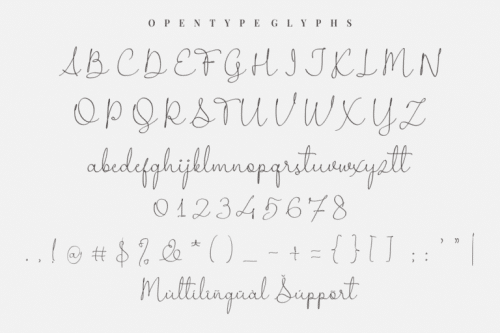 Wedding Ampersand Font 9