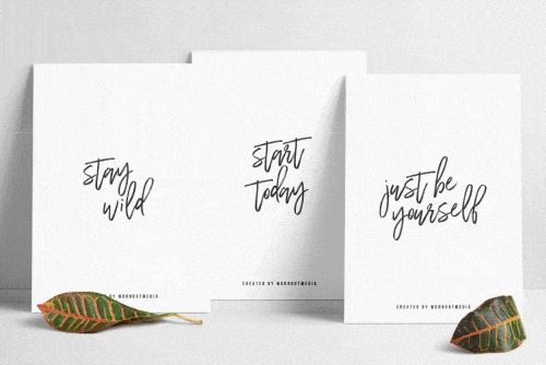 Wilderness Typeface Font 4