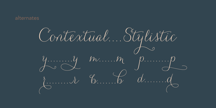 Carolyna Font 5
