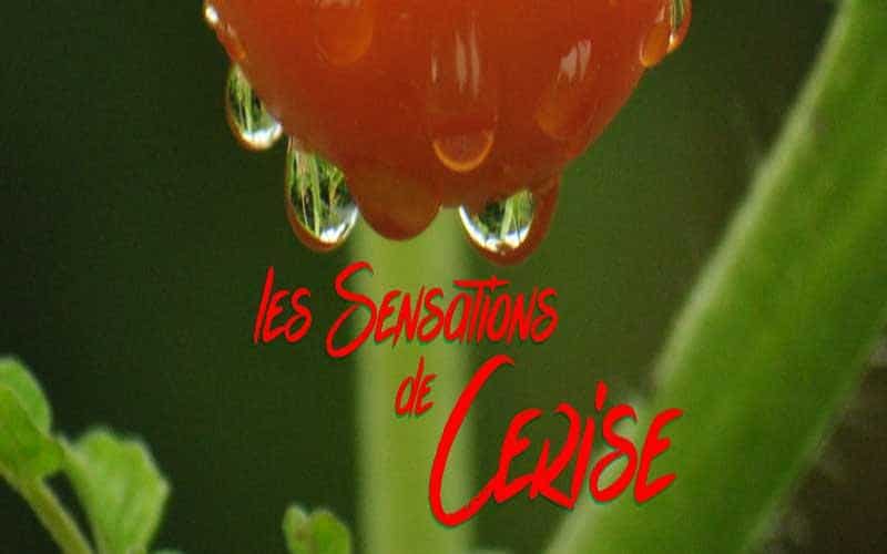 les-Sensations-De-Cerise-Font-0
