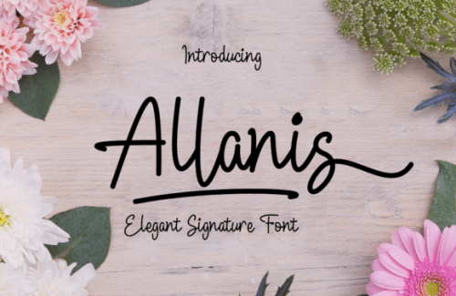 Allanis Handwritten Font 1