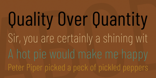 Barlow Condensed Font 1