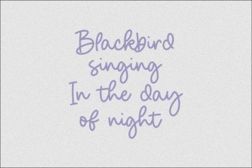 Birdhave Font 1