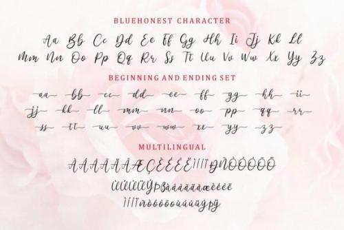 Bluehonest Font 10