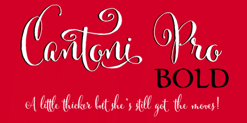 Cantoni Font 1