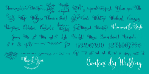 Cantoni Font 13