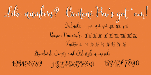 Cantoni Font 17