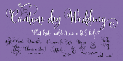 Cantoni Font 19