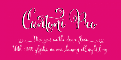 Cantoni Font 4