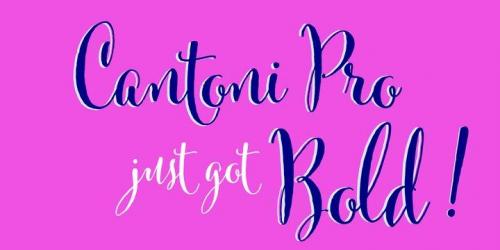 Cantoni Font 7