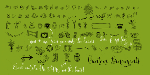 Cantoni Font 9