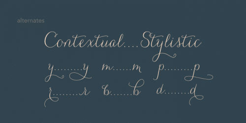 Carolyna Font 5