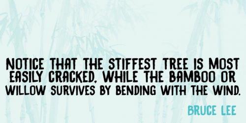 DK Black Bamboo Font 2