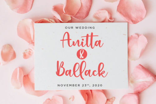 Fabiolla Font 1