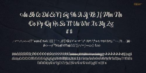 Hildor Script  Font 10