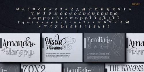 Hildor Script  Font 11