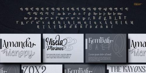 Hildor Script  Font 7