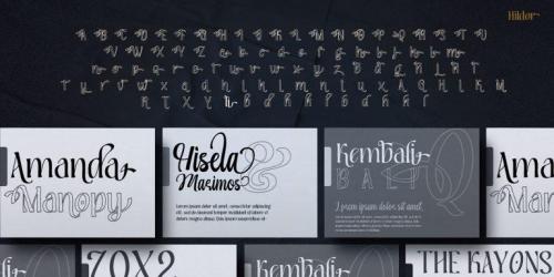 Hildor Script  Font 9
